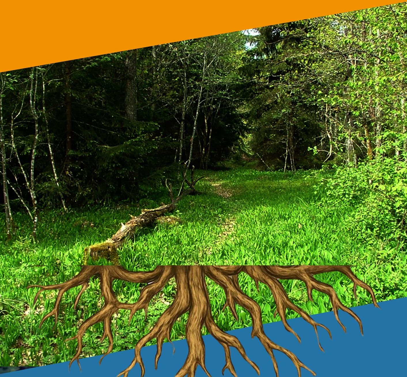 Event image for Roten till allt ont